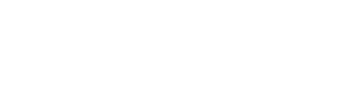 Vaillant Logo